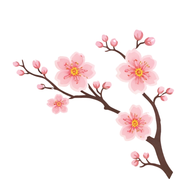 Gałąź z kwiatami wiśni