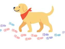 Ilustracja przedstawia psa terapeutycznego w czerwonej chuście, otoczonego kolorowymi śladami stóp. Grafika symbolizuje rozwijanie kompetencji społecznych przy udziale psa terapeutycznego.