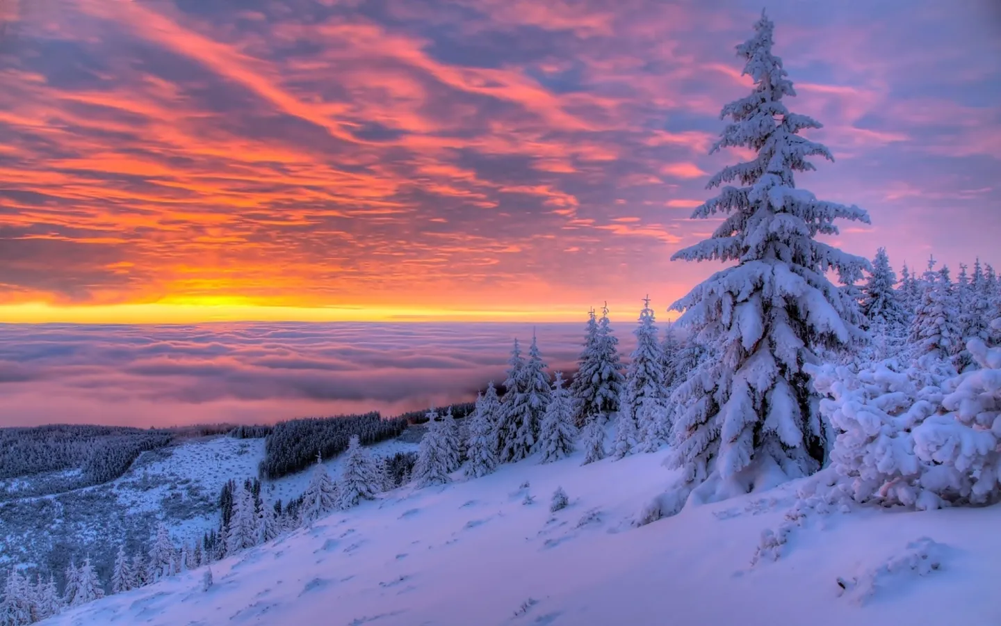 Slajder - Ośnieżone wzgórza porośnięte lasem iglastym i popołudniowe niebo.jpg